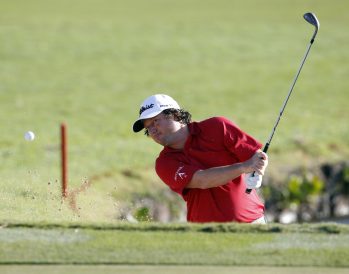 article image - 